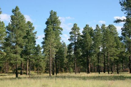 Property in Coconino County, Arizona