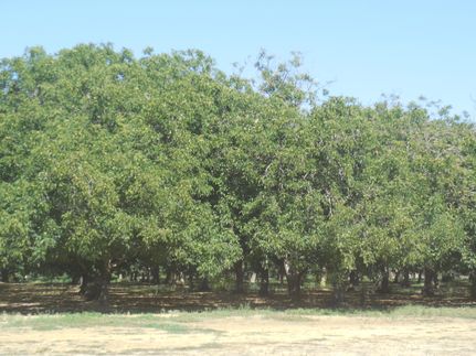 Property for sale in Butte County, California