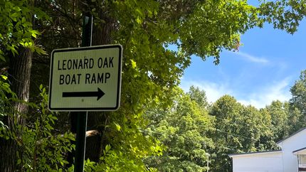 Undeveloped Land for sale in Butler County, Kentucky