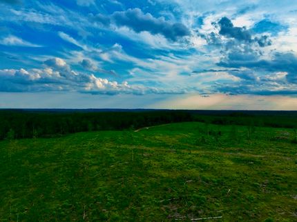 Property for sale in Walthall County, Mississippi