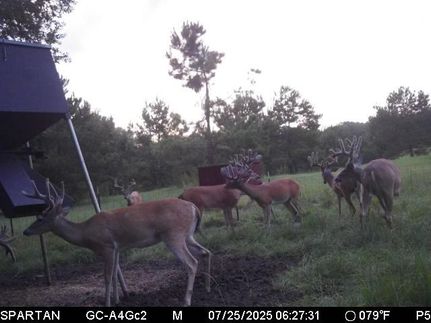 Recreational Property for sale in Angelina County, Texas