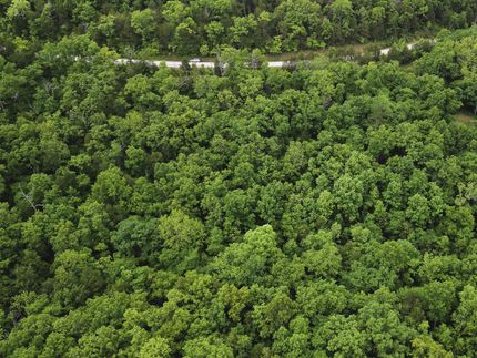 Property for sale in Ozark County, Missouri