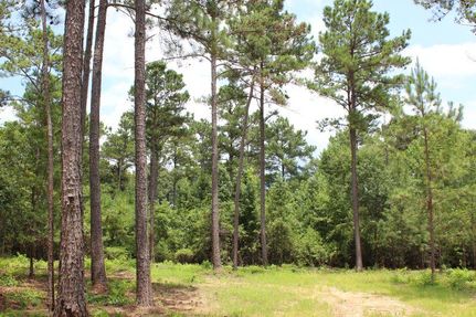 Farm Property for sale in Tallapoosa County, Alabama