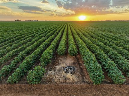 Property for sale in Haskell County, Texas