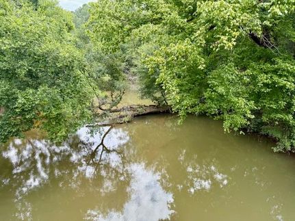 Waterfront Property for sale in Amite County, Mississippi