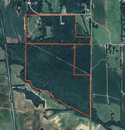 Property for sale in Chickasaw County, Mississippi