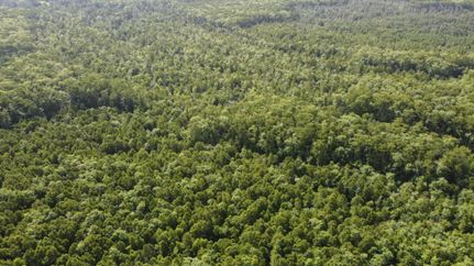 Property for sale in Livingston Parish, Louisiana