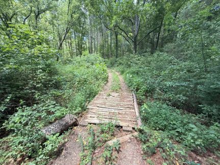 Property in Cullman County, Alabama