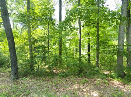Undeveloped Land for sale in Hampshire County, West Virginia