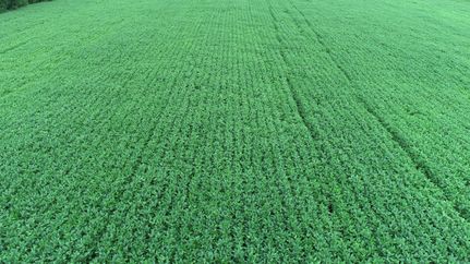 Property for sale in DeKalb County, Missouri