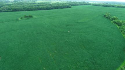 Property for sale in DeKalb County, Missouri