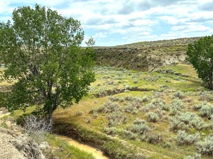 Horse Property for sale in Custer County, Montana