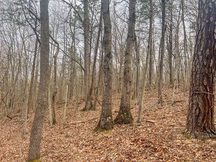 Property for sale in Vinton County, Ohio