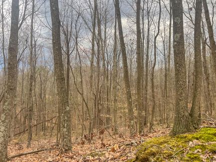 Ranch Property for sale in Vinton County, Ohio