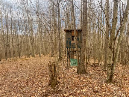 Ranch Property for sale in Vinton County, Ohio