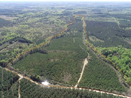 Property for sale in Dinwiddie County, Virginia