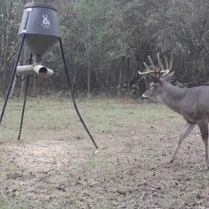 Property for sale in Marion County, Georgia