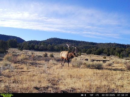 Property for sale in Catron County, New Mexico