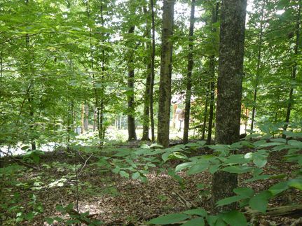 Residential Property for sale in Union County, Tennessee