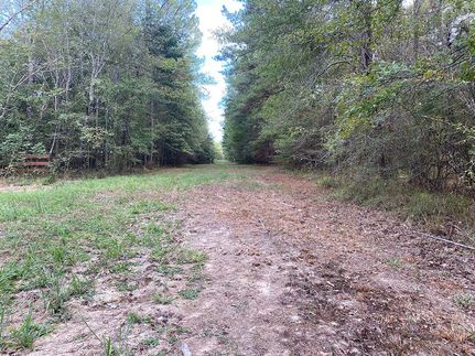 Property in Simpson County, Mississippi