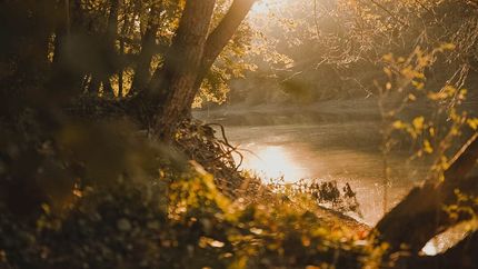 Property in Leflore County, Mississippi