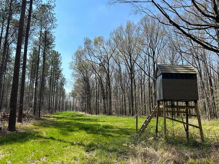 Property for sale in Calhoun County, Mississippi