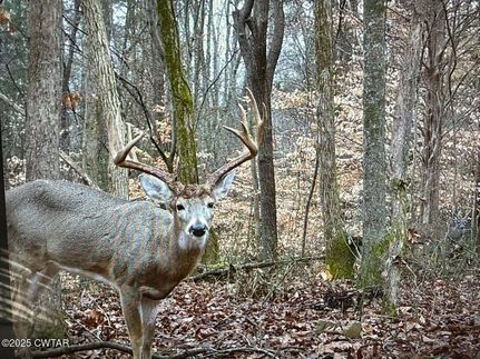 Recreational Property for sale in Madison County, Tennessee