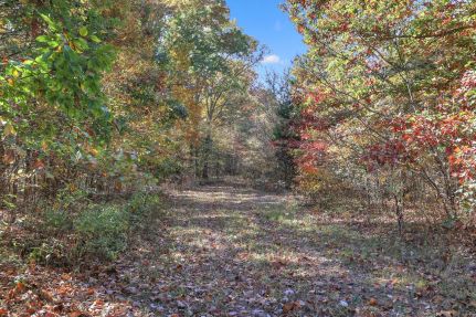 Ranch Property for sale in Cheatham County, Tennessee