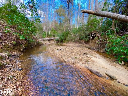Hunting Land for sale in Tuscaloosa County, Alabama