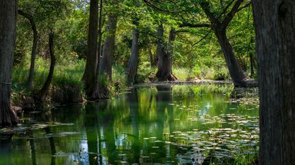 Property for sale in Kendall County, Texas