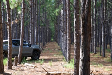 Property for sale in Allendale County, South Carolina