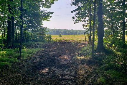 Hunting Land for sale in Price County, Wisconsin