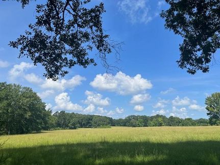 Property for sale in Jefferson County, Mississippi