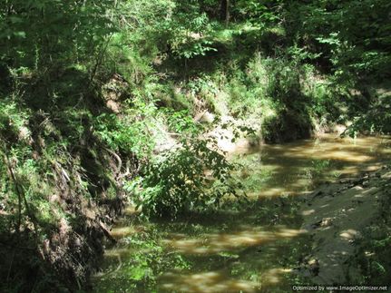 Property for sale in Yazoo County, Mississippi