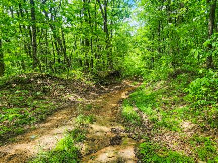 Recreational Property for sale in Scott County, Tennessee