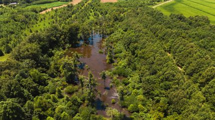 Property for sale in Quitman County, Mississippi