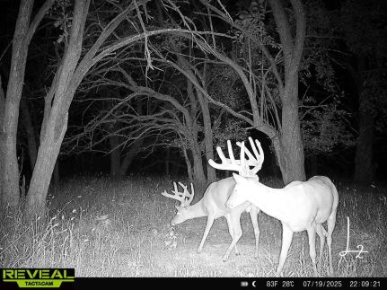 Property in Neosho County, Kansas