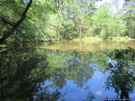 Property for sale in Yazoo County, Mississippi