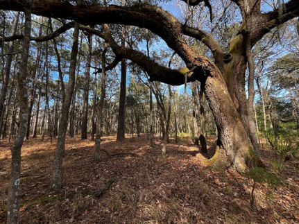 Property for sale in Jasper County, South Carolina