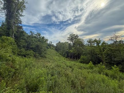 Property in Belmont County, Ohio