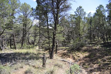 Undeveloped Land for sale in Otero County, New Mexico