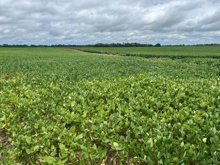 Property for sale in Saint Francis County, Arkansas