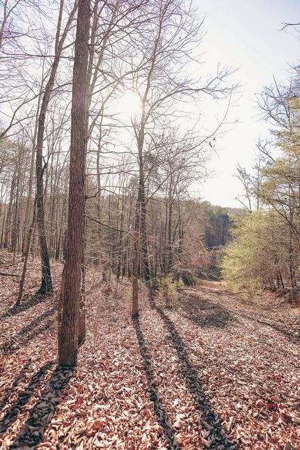 Property for sale in Rhea County, Tennessee