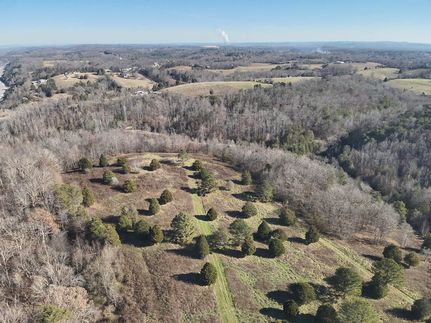 Undeveloped Land for sale in Rhea County, Tennessee