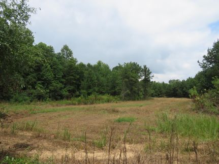 Timberland Property for sale in Dallas County, Alabama
