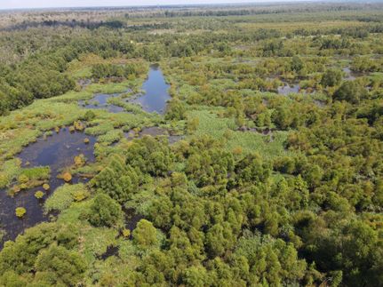 Property for sale in St John The Baptist Parish, Louisiana