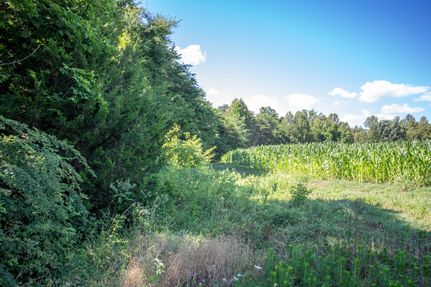 Hunting Land for sale in Charlotte County, Virginia