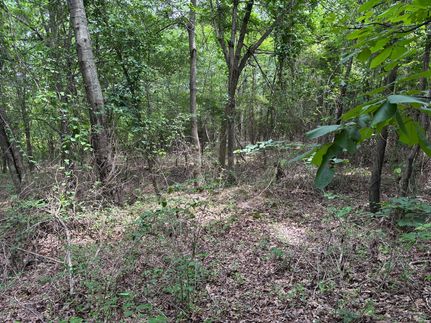 Property in Lincoln County, Arkansas