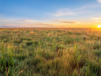 Property for sale in Bailey County, Texas