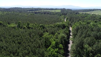 Undeveloped Land for sale in Whitfield County, Georgia